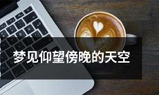 穿过暮色，我在梦中仰望傍晚渐暗的天空