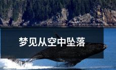 自由落体：我在梦中从无垠天空向下俯冲