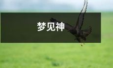 梦见神——探索人类内心深处的信仰与灵性之旅