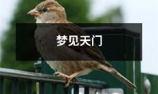 被神兽金翅大鹏吸入异界的神奇梦境：重温古代神话传说之天门奇遇记