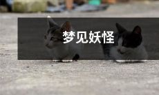 在黑夜中梦见令人惊恐的妖怪，身心俱疲，不知所措