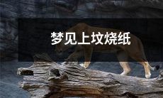 我梦见在墓地上焚烧香纸，以向祖先表达敬意的梦境