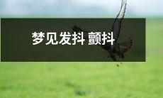 梦中颤抖抖抖,仿佛置身漩涡之中!