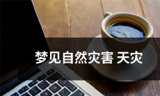 在睡梦中经历的自然灾害——如海啸、地震、火山喷发等——引起的恐惧的状况和反应