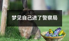 昨晚做梦了，梦见自己被警察带进警察局了！