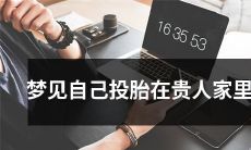 做梦：我投胎到了贵人家庭，感受到了尊贵的生活方式！