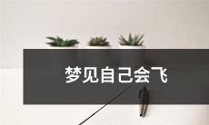 在梦中体验飞行：我梦见自己可以自由飞翔于天空之上的惊人体验