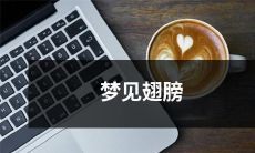 在梦中经历了飞行的美妙，畅享翅膀上的自由奇妙感觉！