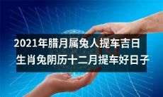 2021年腊月属兔的人有幸遇见了提车的吉日,就在阴历十二月,生肖兔的人可以抓住这个好日子提车啦!