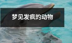 梦见发疯的野生动物突然袭击！你会怎么应对？