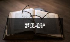 在梦中遇见一只可爱的毛驴：探究梦境中动物象征的社会和心理意义