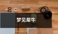 细枝末节的梦境之旅：在悠长梦境中重逢犀牛的奇妙经历