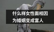 婚姻对女性的财富影响：哪些面相的女性更容易变成富人？