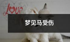 在梦中见到马受伤的寓意是什么？ 该如何解读梦境中马匹的痛苦和伤害？