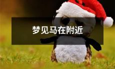 做梦时出现马的身影，或许是见到了附近的马匹？