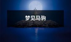 在一个神奇的夜晚，我做了一个梦，梦见了一匹可爱的马驹和它踢蹬着优美的舞步，仿佛它展现给我这个世界的美好和无限可能