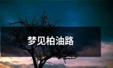 在夜色中，我梦见自己漫步在光滑而沉稳的柏油路上，沿途被盛开的花朵和层层叠叠的树林所围绕，仿佛进入了一个迷幻、宁静的世界