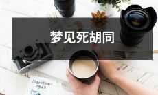 在梦中遇到死胡同：一场神秘而幻觉似的旅程