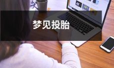 为何我们做梦时会梦见投胎的情景，这可能代表了哪些生命观念和灵性信仰？