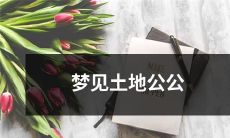 在睡梦中遇见土地公公：我心中的神秘旅程