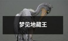 在梦中遇见护佑众生的佛菩萨地藏王，感受到超凡力量与慈悲智慧的震撼体验！