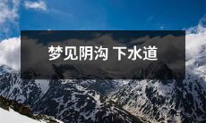 中的奇幻冒险：探寻阴沟下水道深处的神秘秘密