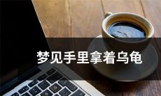 夜晚梦境中手托一只缓慢爬行的龟，心境究竟如何？