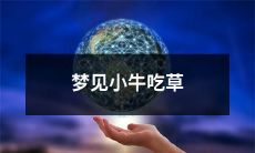 在梦中目睹小牛在绿草坪上自由地咀嚼食物：我梦见了小牛吃草的场景