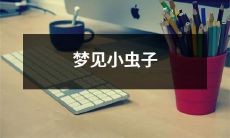 如何解读梦里出现的小虫子及其潜在含义？