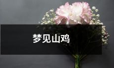 在梦中遇见一只山鸡-生动细致的梦境描写