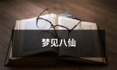 在一个梦中，我遇见了神仙般的八仙，他们向我展示了神奇的世界