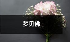 在梦中遇见佛:一个引人入胜的心灵体验