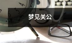 出现的情景,迎战敌军并取得战斗胜利的生动梦境描述