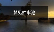 在梦中看到了一个巨大的贮水池 - 我的梦境中的深刻体验