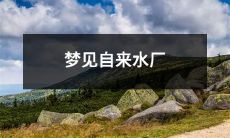 经历了一场奇幻旅程：睡梦中探索自来水厂的神秘世界！