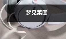 在梦中看到自己身处一片广阔的菜园，并且对着丰收的果实感到欣喜若狂的梦境体验