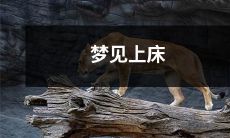 梦见自己上床,意味着什么?解读你的梦境中的性意象和心理暗示