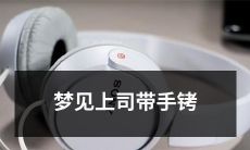 睡眠中的幻觉：我梦见了我的上司戴着奇怪的手铐！