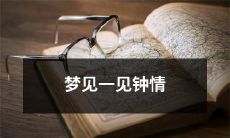 做了个梦，梦见自己与一位陌生人般一见钟情的情境浪漫绝美而感慨万千