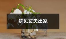 如何解读梦境：我梦见我深爱的丈夫放弃人间烟火，出家成为一名僧侣？