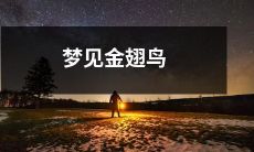 在梦中目睹闪闪发光的金翅鸟，启示你心境的美好与思维的超越