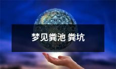 梦见自己身处恶臭熏天的污水粪池、粪坑中：一场失眠夜晚的梦境