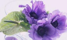 十二种极度准确的民俗吉凶占卜，让你预测未来！