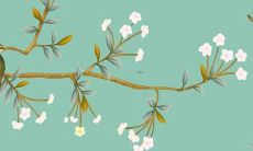 2023年虚岁，属猴的已经年满多少岁呢？