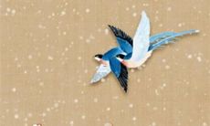 如何为即将在2023年出生且属兔的宝宝起一个有意义的小名？