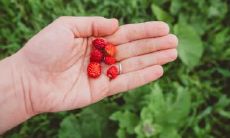 右手断掌纹的女人是什么手相，其代表的意义如何？