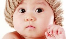 欣赏美丽芬芳的植物名称:令人陶醉的花卉和草本植物命名