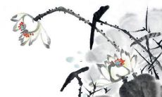 什么时候是属兔2023年最佳结婚月份？