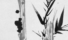 庚子年的偏印坐劫财究竟如何解释？对于身弱者在面对劫财时应该有何警觉？而对于身强者，则应该如何避免遇到劫财的不吉之兆？