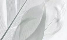 详解正印相邻偏官格局:在旺气和贵气上双丰收的贵人格局